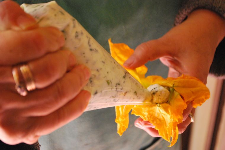 Zucchini Blossoms with Ricotta and Borage Filling